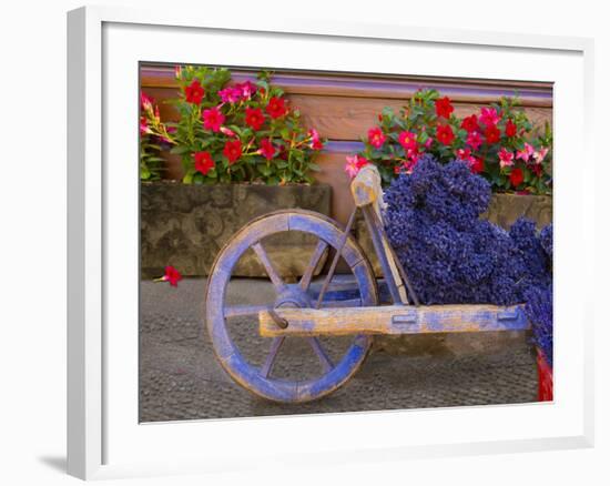 Old Wooden Cart with Fresh-Cut Lavender, Sault, Provence, France-Jim Zuckerman-Framed Photographic Print