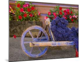 Old Wooden Cart with Fresh-Cut Lavender, Sault, Provence, France-Jim Zuckerman-Mounted Photographic Print