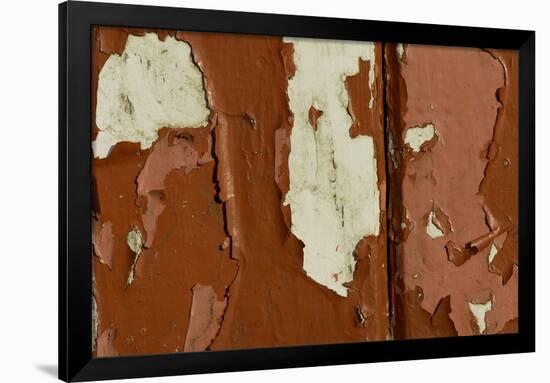 Old wooden door with red paint flaking, Cumbria, England-Wayne Hutchinson-Framed Photographic Print