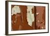 Old wooden door with red paint flaking, Cumbria, England-Wayne Hutchinson-Framed Photographic Print