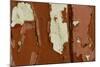 Old wooden door with red paint flaking, Cumbria, England-Wayne Hutchinson-Mounted Photographic Print