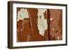 Old wooden door with red paint flaking, Cumbria, England-Wayne Hutchinson-Framed Photographic Print