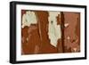 Old wooden door with red paint flaking, Cumbria, England-Wayne Hutchinson-Framed Photographic Print