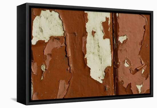 Old wooden door with red paint flaking, Cumbria, England-Wayne Hutchinson-Framed Stretched Canvas