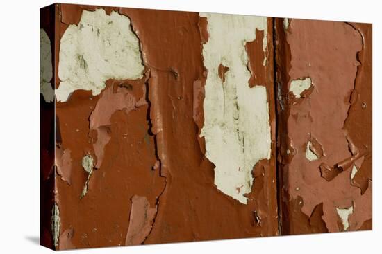 Old wooden door with red paint flaking, Cumbria, England-Wayne Hutchinson-Stretched Canvas