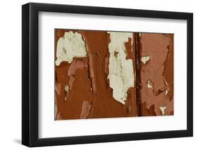 Old wooden door with red paint flaking, Cumbria, England-Wayne Hutchinson-Framed Photographic Print