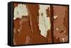 Old wooden door with red paint flaking, Cumbria, England-Wayne Hutchinson-Framed Stretched Canvas