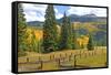 Old Wooden Fence and Autumn Colors in the San Juan Mountains of Colorado-John Alves-Framed Stretched Canvas