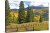 Old Wooden Fence and Autumn Colors in the San Juan Mountains of Colorado-John Alves-Stretched Canvas