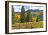 Old Wooden Fence and Autumn Colors in the San Juan Mountains of Colorado-John Alves-Framed Photographic Print