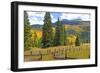 Old Wooden Fence and Autumn Colors in the San Juan Mountains of Colorado-John Alves-Framed Photographic Print