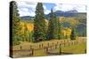 Old Wooden Fence and Autumn Colors in the San Juan Mountains of Colorado-John Alves-Stretched Canvas