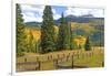 Old Wooden Fence and Autumn Colors in the San Juan Mountains of Colorado-John Alves-Framed Photographic Print