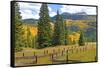 Old Wooden Fence and Autumn Colors in the San Juan Mountains of Colorado-John Alves-Framed Stretched Canvas