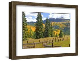 Old Wooden Fence and Autumn Colors in the San Juan Mountains of Colorado-John Alves-Framed Photographic Print