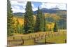 Old Wooden Fence and Autumn Colors in the San Juan Mountains of Colorado-John Alves-Mounted Photographic Print