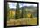 Old Wooden Fence and Autumn Colors in the San Juan Mountains of Colorado-John Alves-Framed Photographic Print