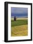 Old wooden granary in Collins, Montana, USA-Chuck Haney-Framed Photographic Print