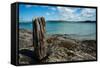 Old Wooden Mooring Post at Hawker Cove on Eastern Side of the Camel Estuary in North Cornwall-Jonathan Somers-Framed Stretched Canvas