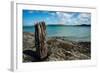 Old Wooden Mooring Post at Hawker Cove on Eastern Side of the Camel Estuary in North Cornwall-Jonathan Somers-Framed Photographic Print