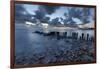 Old wooden piles going out to sea and pebbles on beach at dawn, Munkerup, Kattegat Coast, Zealand, -Stuart Black-Framed Photographic Print