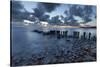 Old wooden piles going out to sea and pebbles on beach at dawn, Munkerup, Kattegat Coast, Zealand, -Stuart Black-Stretched Canvas