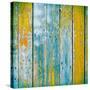 Old Wooden Planks Painted with Paint Cracked by a Rustic Background-Elena Larina-Stretched Canvas