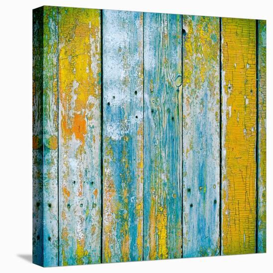 Old Wooden Planks Painted with Paint Cracked by a Rustic Background-Elena Larina-Stretched Canvas