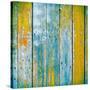 Old Wooden Planks Painted with Paint Cracked by a Rustic Background-Elena Larina-Stretched Canvas