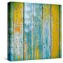 Old Wooden Planks Painted with Paint Cracked by a Rustic Background-Elena Larina-Stretched Canvas
