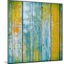 Old Wooden Planks Painted with Paint Cracked by a Rustic Background-Elena Larina-Mounted Art Print