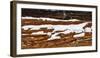 old wooden wall of hut, snowdrift, medium close-up, detail-Martin Ley-Framed Photographic Print