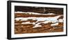 old wooden wall of hut, snowdrift, medium close-up, detail-Martin Ley-Framed Photographic Print