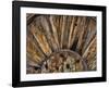 Old Wooden Wheel-Don Paulson-Framed Giclee Print