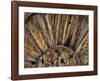 Old Wooden Wheel-Don Paulson-Framed Giclee Print