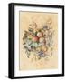 Old World Fruit-Cheri Blum-Framed Art Print