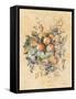 Old World Fruit-Cheri Blum-Framed Stretched Canvas