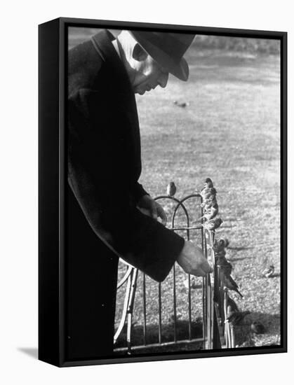 Older Man Feeding Birds Perched on a Fence in Hyde Park-Cornell Capa-Framed Stretched Canvas