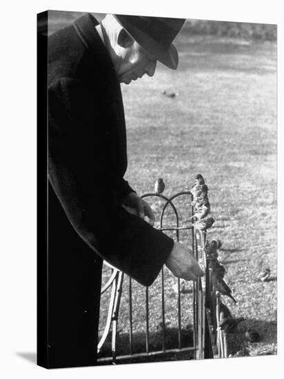 Older Man Feeding Birds Perched on a Fence in Hyde Park-Cornell Capa-Stretched Canvas