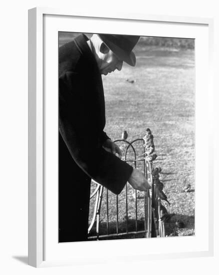 Older Man Feeding Birds Perched on a Fence in Hyde Park-Cornell Capa-Framed Photographic Print