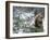 Older Polar Bear Cubs, North Slope, Alaska, USA-Howie Garber-Framed Photographic Print