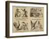 Older's Museum, Circus and Menagerie-null-Framed Giclee Print