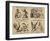 Older's Museum, Circus and Menagerie-null-Framed Giclee Print