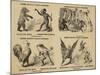 Older's Museum, Circus and Menagerie-null-Mounted Giclee Print