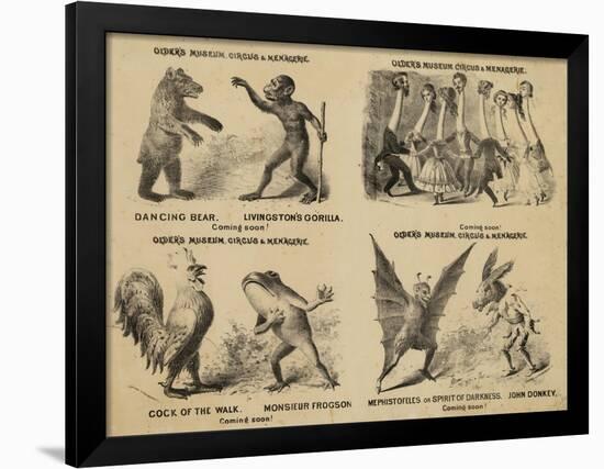 Older's Museum, Circus and Menagerie-null-Framed Giclee Print