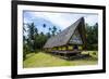 Oldest Bai of Palau-Michael Runkel-Framed Photographic Print