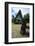 Oldest Bai of Palau-Michael Runkel-Framed Photographic Print