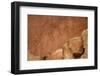 Oldest Pueblos and Navajos Tracks of Art on the Cliffs of Monument Valley-Olivier Goujon-Framed Photographic Print