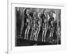 Oldman Collection of Polynesian Artifacts-null-Framed Photographic Print