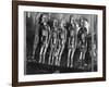 Oldman Collection of Polynesian Artifacts-null-Framed Photographic Print